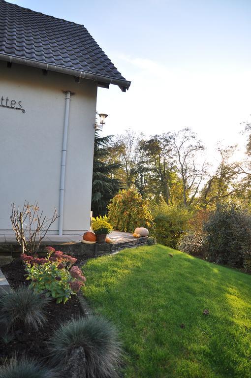 Chambres D'Hotes Les Chalinettes Fegersheim Exteriér fotografie